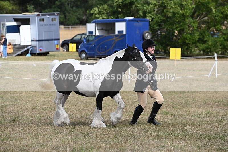 WJ6_6478 - Class 20 In-hand Cob