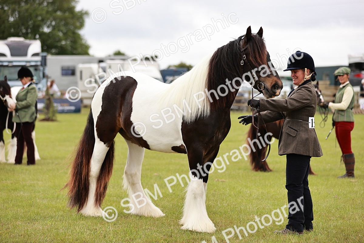 SBM_05975 - Class 39-41 TGCA In Hand and Ridden