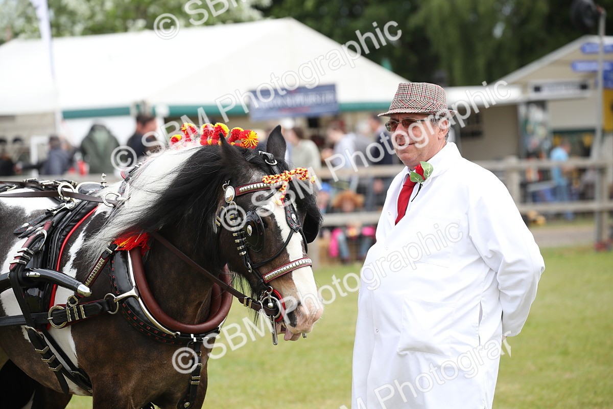 SBM_07024 - Class 16 - Light Trade