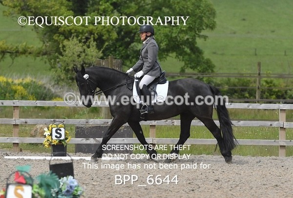 BPP_6644 - 42 L MCKIRDY