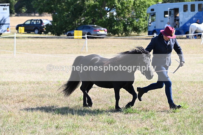 WJ6_4247 - Class 16 Condition & Turn Out