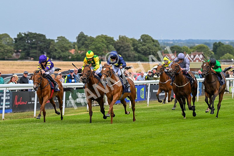 040725-Race 1-Golden Palace-3936 - Race 1