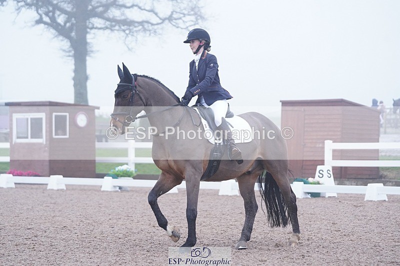 250215-103448-02822 - 143-Charlie.Cornish-Dali.Van.Het.Burghof.Z