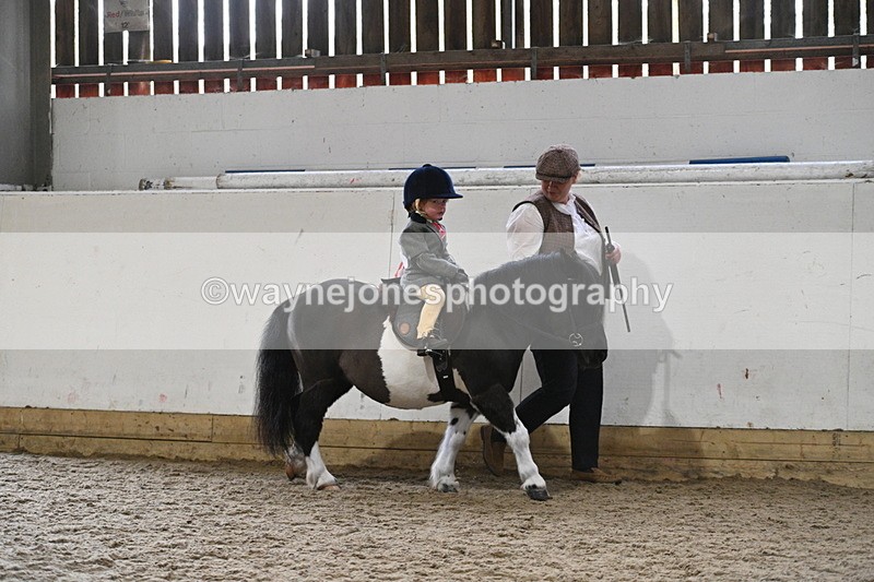 WJ7_4455 - Afternoon Champs