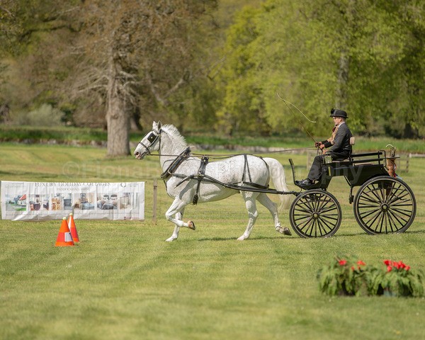 Attelage -886 - CIAT Glamis 2026