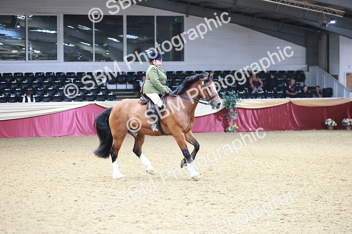 SBM_03618 - Class 6A Area Ridden Pre-Vet