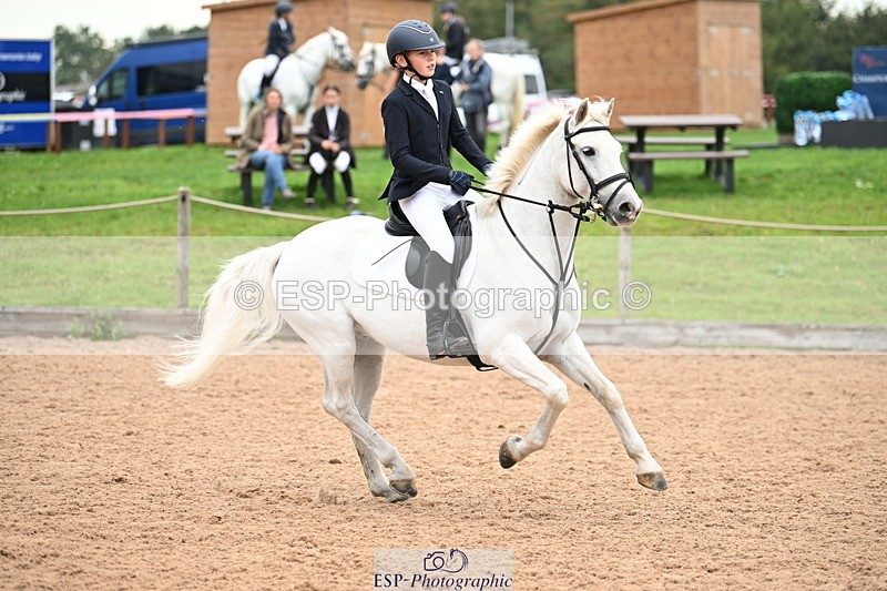 240907A-131512-01931 - Cls 3 Pony Medium Team 80cm & 90cm