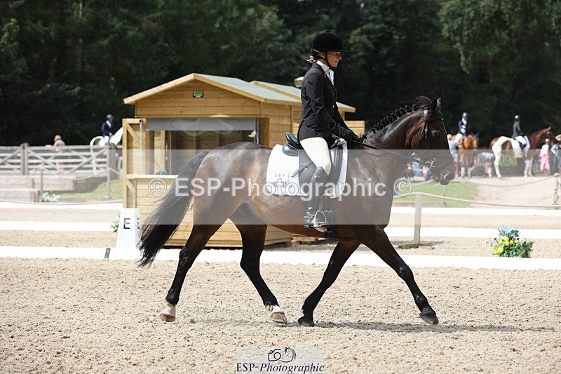 230812-121951-03982 - Cls 5 Novice Bronze 11.15 to 12.50 break