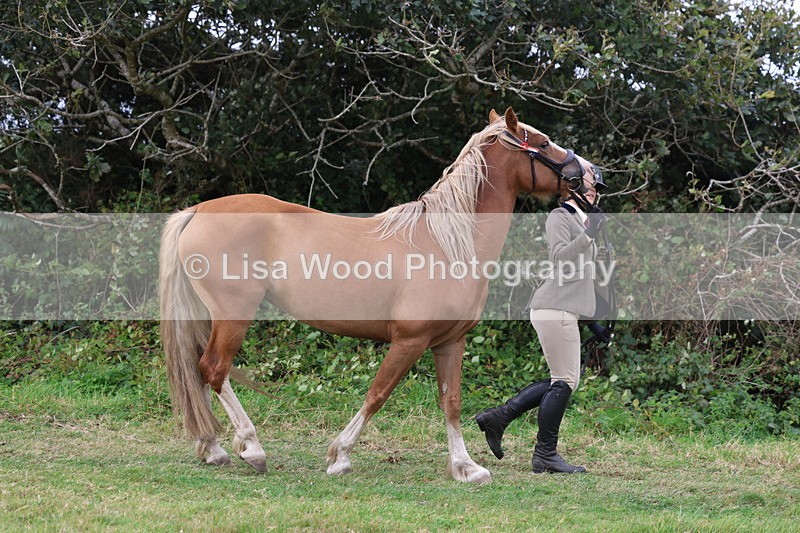 3E7A4523 - Class 16: Best Grass Kept