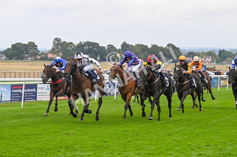 240924-Race 3-Nala Star-6104 - Race 3