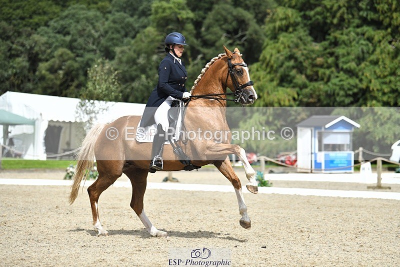 230812-144404-04779 - Cls 7 FEI PSG Bronze