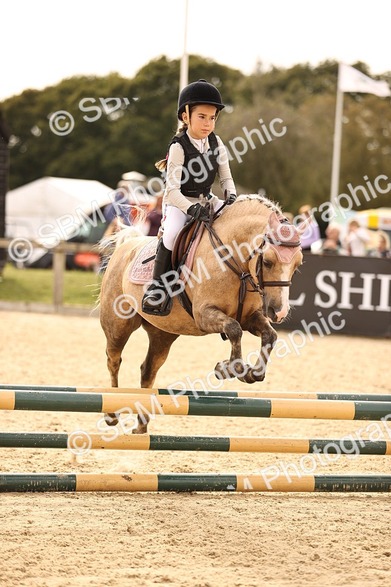 SBM_70818 - J13 - Junior Pony 60cm Championship