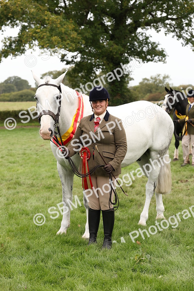 SBM_60867 - In Hand Horse Supreme Championship