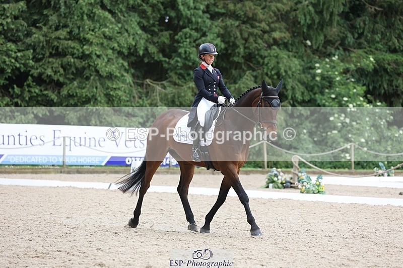 240524-120316-08502 - 274-JACK_OF_CLUBS-Rosalind_Canter