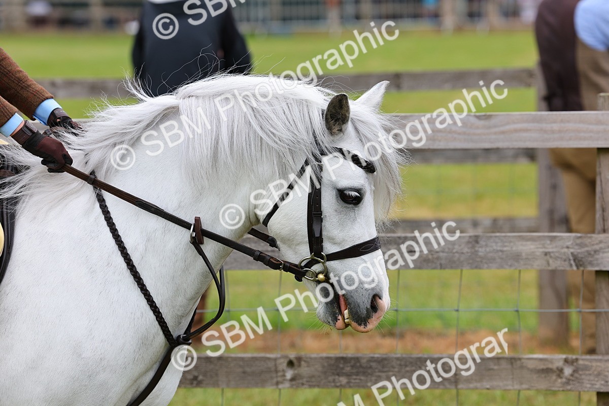 SBM_08450 - Class 42-43 - LIHS BSPS Heritage Working Sports Pony