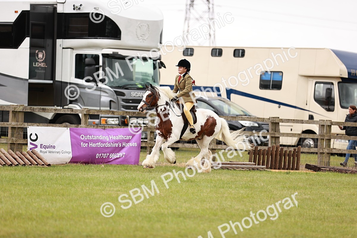 SBM_06149 - Class 39-41 TGCA In Hand and Ridden