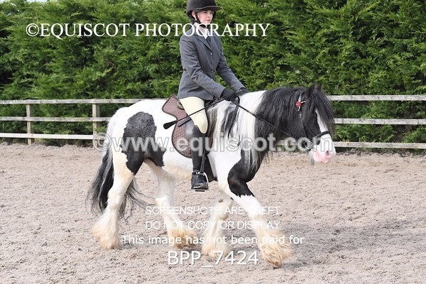 BPP_7424 - RING 1  (RIDDEN HORSES / IN HAND / VETERAN ETC)
