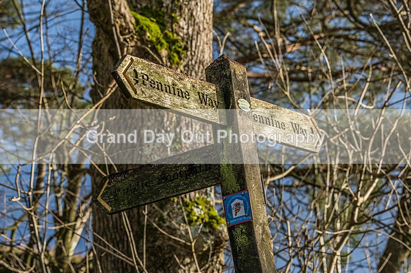 Spine-71 - Montane Spine Race Tuesday 14th January 2025