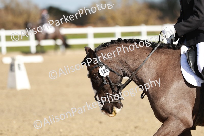 20260314-4347 - DR4 - Prelim 2