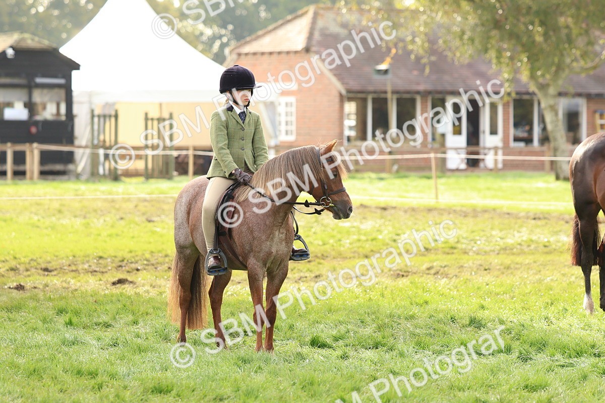 SBM_56627 - S40 - Starters Ridden Showing