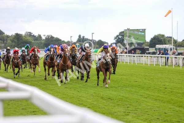 140624-Race 5-Ron O-5709 - Race 5 4.10pm Juddmonte EBF Fillies Restricted Novice Stakes