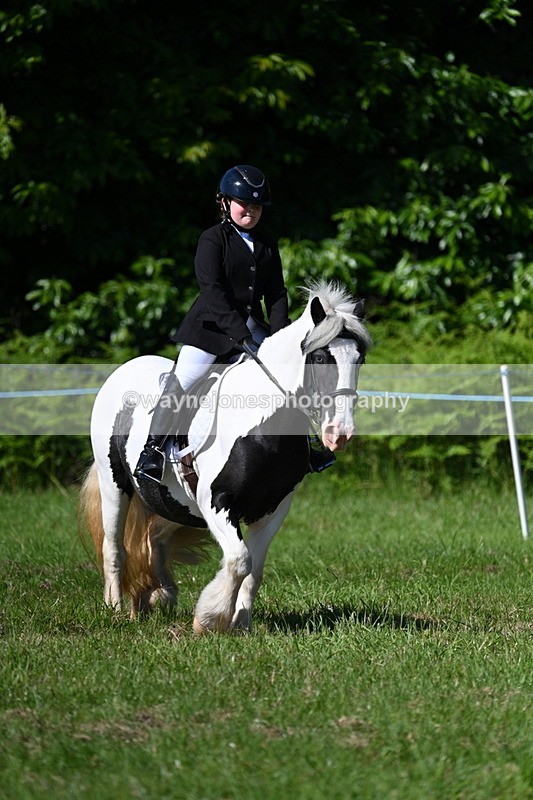 WJ7_0533 - Class 8 First Rally Pony