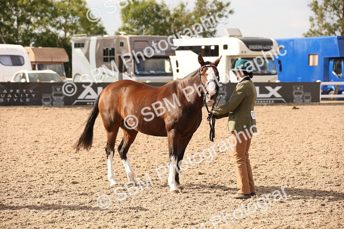 SBM_08202 - Class 27 - IH Competition Horse-Pony