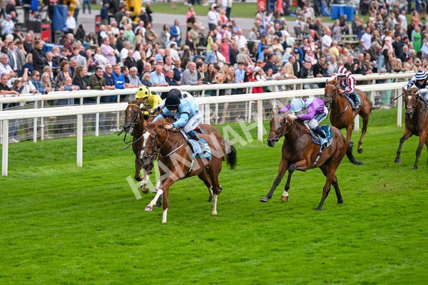 080925-Race 6-Rhapsody-7768 - Race 6 5.00pm Sky Bet Build A Bet Fillies' Handicap