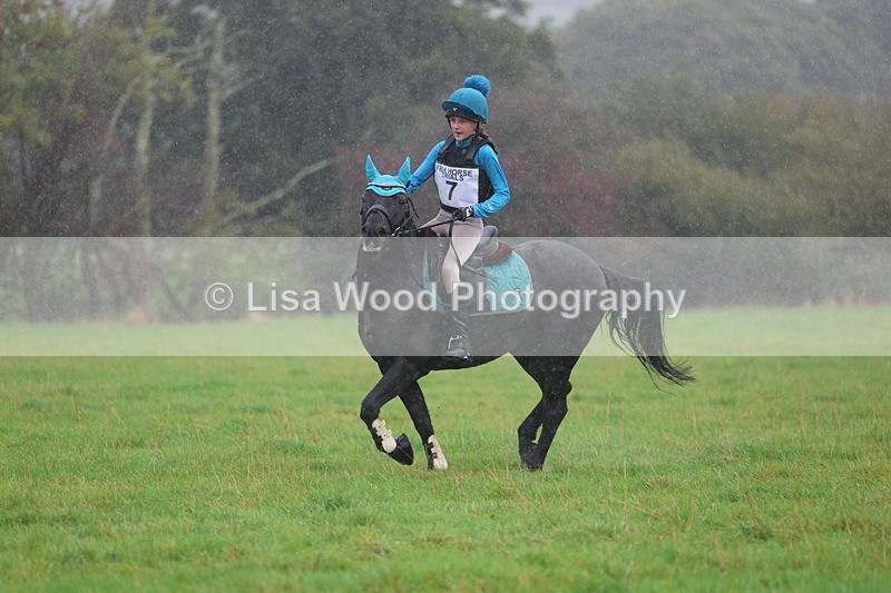 3E7A0839 - Class 1: 65cm: Rails