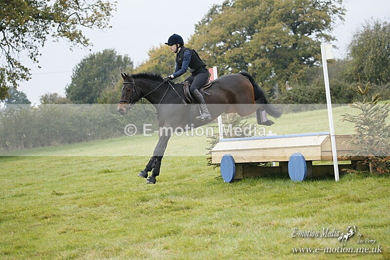 WWHT 181020 WWHT 181020 550 - WWEC Open Novice (0.80m) 18/10/20