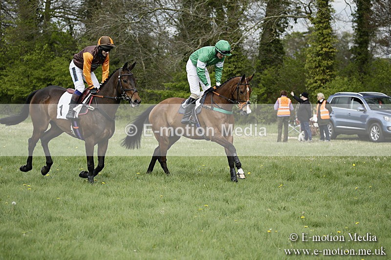 PtP 170417 162 - Old Berks Point-to-Point Lockinge 17/04/17