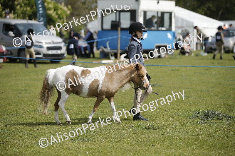 20260426-1845 - Class 7 - Pony Judge Would Most Like To Take Home
