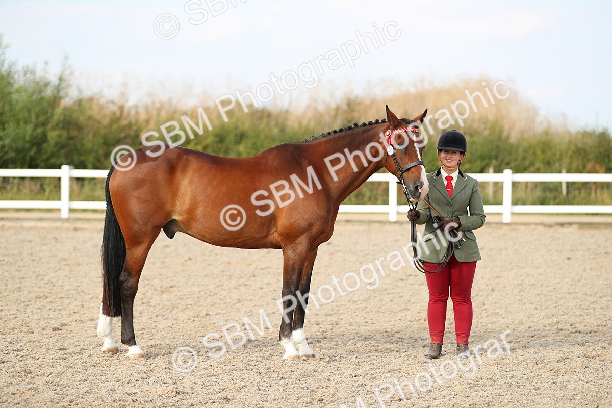 SBM_08627 - Class 28 - IH Veteran Horse