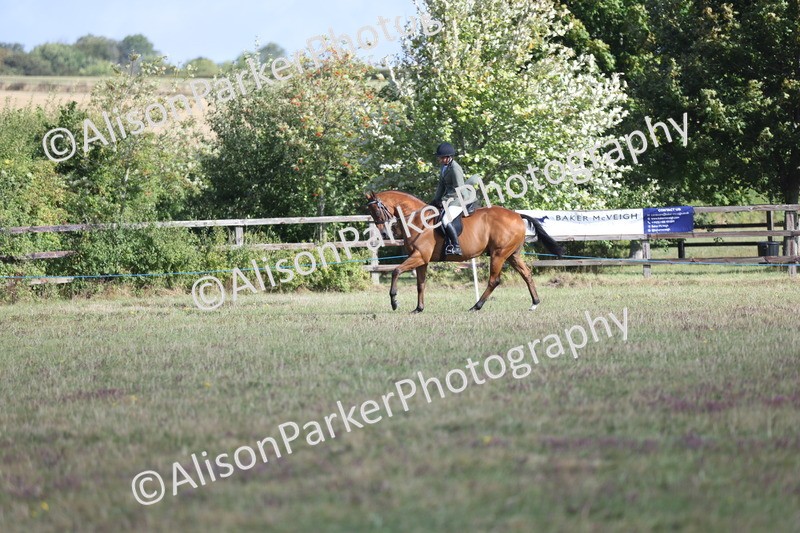 20250831-0814 - Class 14 - Ex Racehorse