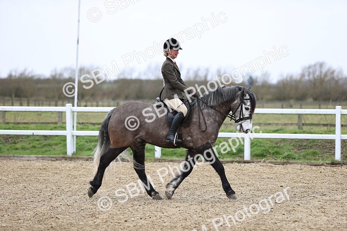 SBM_007506 - Class 31-32 - M&M Confined Novice Small-Large