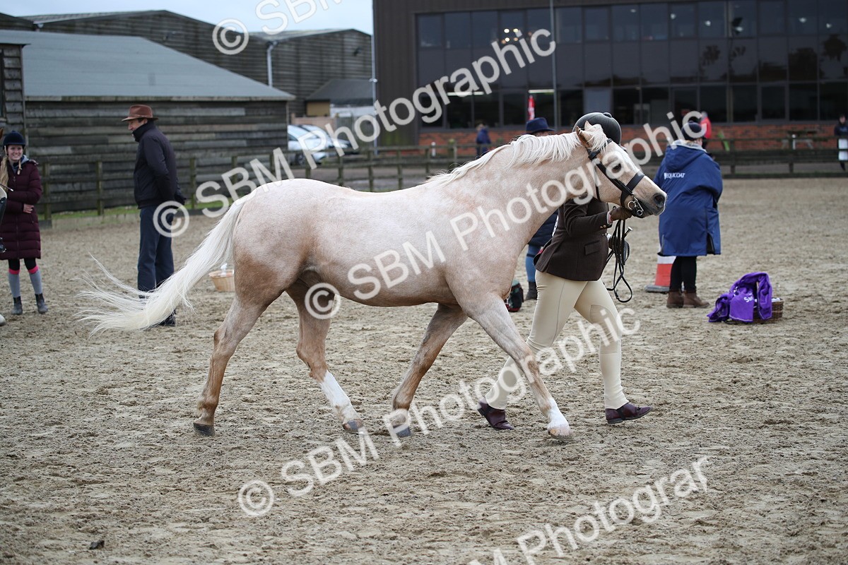 SBM_006416 - Class 10-13 - RIHS Small Large Breeds