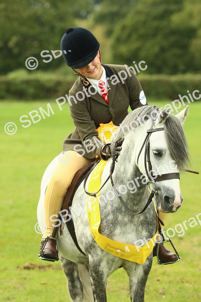 SBM_70038 - S59 - Mountain & Moorland Ridden Small Breeds