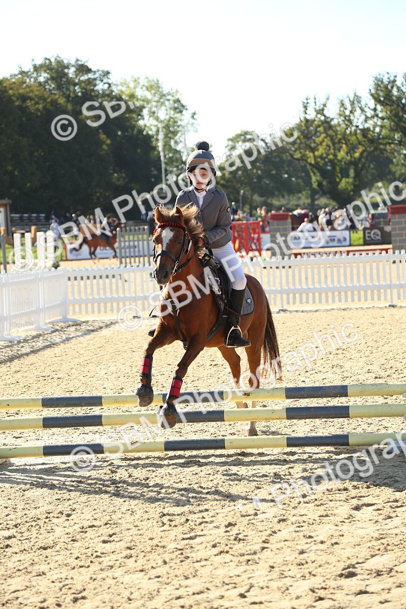 SBM_35944 - J5 - Junior Pony 50cm Championship