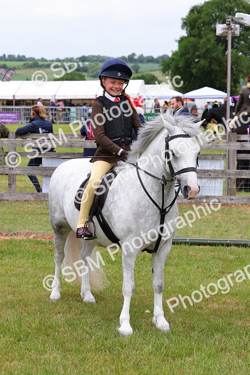 SBM_08788 - Class 42-43 - LIHS BSPS Heritage Working Sports Pony