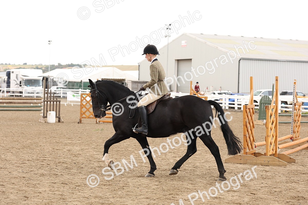 SBM_02910 - Class 53 - Ridden Competition Horse/Pony