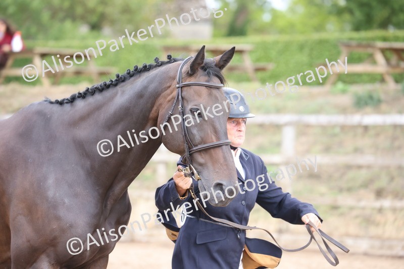 20260831-1944 - Class 5 - Retraining of Racehorses