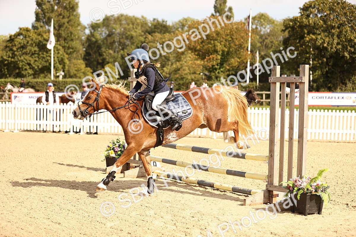 SBM_67029 - J13 - Junior Pony 60cm Championship