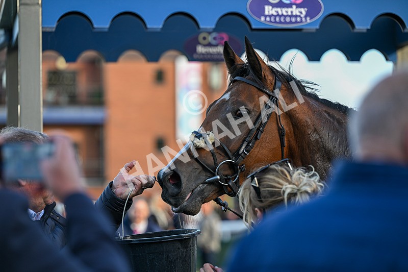 230925-Race 6-Kiss Me My Love-2110 - Race 6