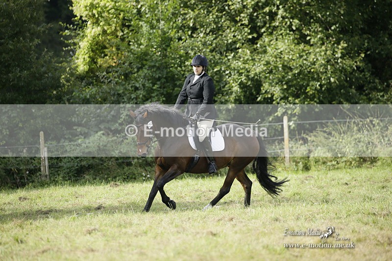 BVRC 120921 297 - Bourne Valley Riding Club UA Dressage & Show Jumping 12/09/21