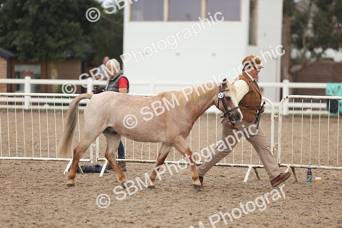 SBM_08461 - Class 29 - IH Veteran Pony