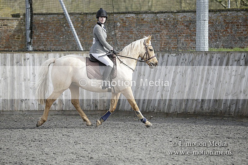 BVRC 050320 0093 - Bourne Valley riding Club Show Jumping Tidworth 08/03/20
