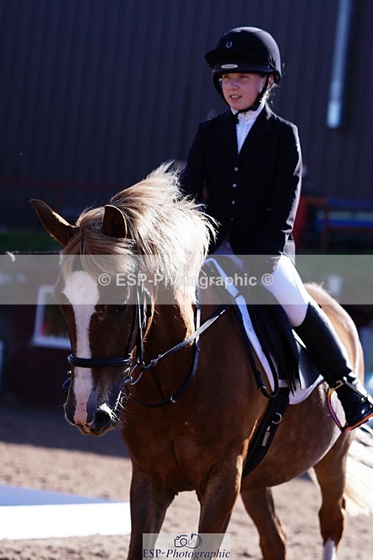 240809A-090942-00164 - Dressage Competition