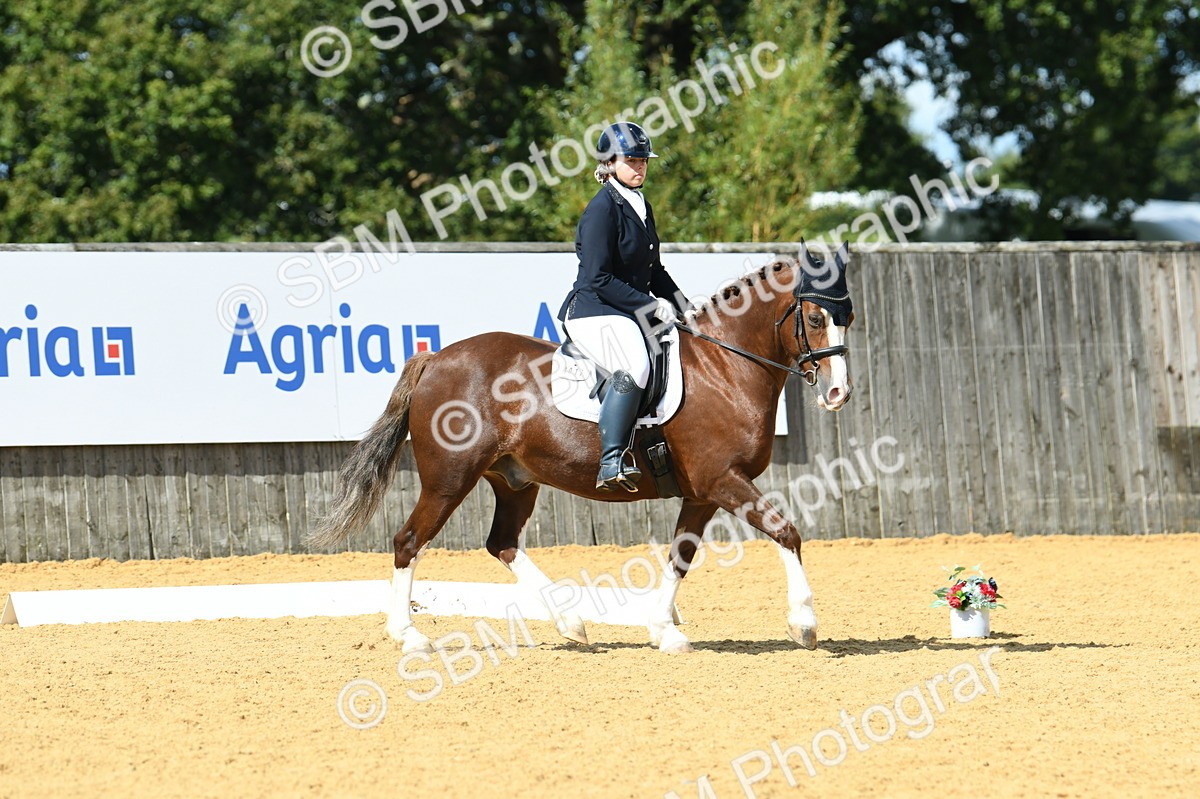 SBM_06409 - D15 Small Tour Championship Novice 24