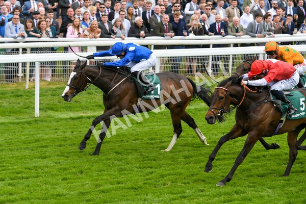 yr13052022r3-31 - Race 3 3.00pm Paddy Power 'I Love Steak' Stakes