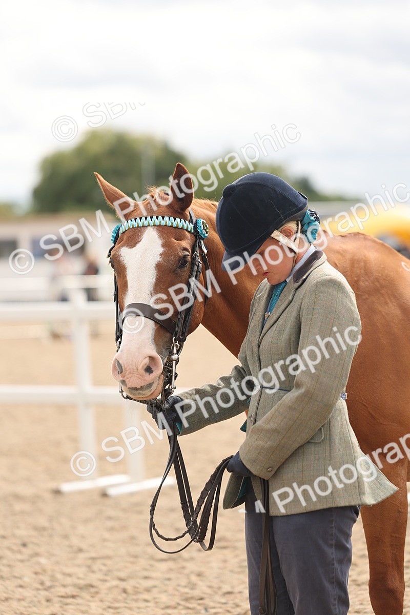 SBM_16999 - Class 312 - IH Competition Horse-Pony